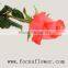 high quality Wholesale love ecuadorian roses freedom malaysia cut flowers moive star for home from kunming