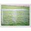 chicken wire netting