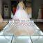 2015 Gorgeous diamond-encrusted exquisite pattern wedding dress/ball gown with hazy veil