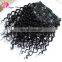 Clip in Human Hair Extensions Kinky Curl Mongolian Kinky Curly Hair