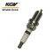 Auto Double Iridium Spark Plug D-BKR5EIX
