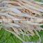 nanguang factory price Dried Cod Fillet 15cm up for sale