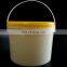 Good quality 1 gallon plastic paint sizes paint cans