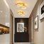 Golden Acrylic Aluminum Aisle Ceiling Lamp For Cloakroom Corridor Balcony Foyer lighting Thin lights Home Lustering Luminaire