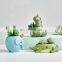 Cartoon animal pot kindergarten shelf personality simulation flower meaty potted decoration