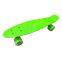 Small fish board 22inch Kids Complete Plastic Skateboards For Beginners