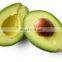 HIGH QUALITY AND BEST CHEAP FROZEN AVOCADO SLICE, HALF, CUBE, 1/4 CUT FROM VIET NAM