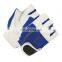 Custom Design Wholesale Price Durable Gym Weight Lifting Training Fitness Gloves