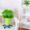 New design creative pillow broccoli shape pillow soft plush pillow