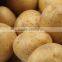 2014 20kg Potato Bags