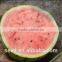 No.63 High Round Hybrid Watermelon Seeds for sale
