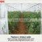 Cheap decorative greenhouse