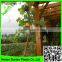 Heavy Duty Long-lasting Flexible Trellis Netting Plant Support Web