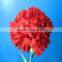 Online Shopping Single Carnations for Home Garden and Party Decoration