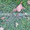 Grass sod reinforcement net for green traffic areas
