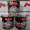 Wholesale Tinned Tomato Paste 800gram