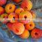iqf fresh frozen blanched apricot dice