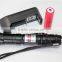 Red Laser Pointer with pen clip