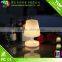 Decorative Lighting LED Table Lamp
