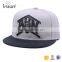 High Quality Custom 3D Embroidery Logo Cap Snapback Hat Fitted Back