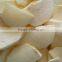 100% Natural FD Snacks -- Freeze dried apple on Sale