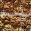 Supply Walnut- Natural walnut kernels Light halves