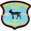 Custom woven Badges, free design