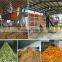 Large capacity environment protection Pomace drying machine price list