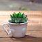 Newest Design Bonsai Artificial Making Artificial Bonsai For Decorative