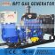 10-500kw biogas generator with CE and ISO certificate