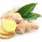 Natural Ginger Juice Healthy drink