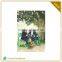 Wholesale High Quality Paper Cardboard Printed Flash Cut Greeting Card (Cards)