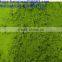 Organic and health drink powder green tea powder matcha powder