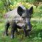 outdoor shooting Boar 3D target, 6*54*33cm