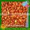 2016 Price Chestnuts/ Chestnuts Wholesale/chinese Chestnuts for Sale