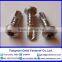 Stainless steel Self-drilling and tapping screws with Hexalobular socket pan/ countersunk/ raised countersunk head