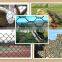 hot dipped galvanized hexagonal/pvc hexl wire mesh