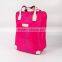 Woman Pink Travel Luggage Bag Suitcase Trolley With 2 Wheels