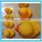 2016 High quality Cute hot selling duck