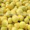 Citrus Honey Pomelo Fruit 8-11 pcs 10kg carton