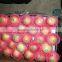 ROYAL BLUSH FUJI APPLE