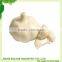 China fresh normal white garlic can provide