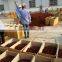 MANUFACTURER OF SPRING STAR ANISE
