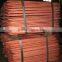 high quality electrolytic Copper Cathode 99.99 With lowest price