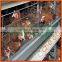 Best Price Galvanized Layer Poultry Cage for Layer Chicken/broiler Chicken