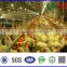U-Best automatic poultry equipment/ chicken house equipment/ poultry house complete farming system