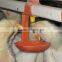 Automatic Drinking Line System for Broiler Chicks