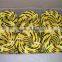 China Factory 3 Strands PE Tiger Rope PP Tiger Rope for Warning