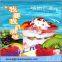 supper market commercial fruit ice cream making machine