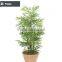 Hot sell decorative artificial indoor plant for living room decoration